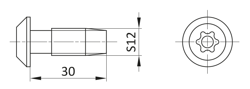 Śruba Centralna SF12x30 [10]